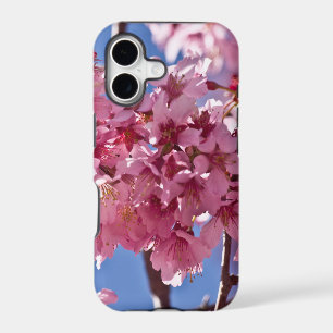Sakura Cherry Blossoms Red Stars