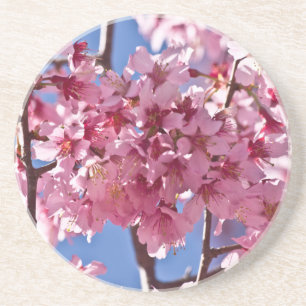 Sakura Cherry Blossoms Red Stars Coaster
