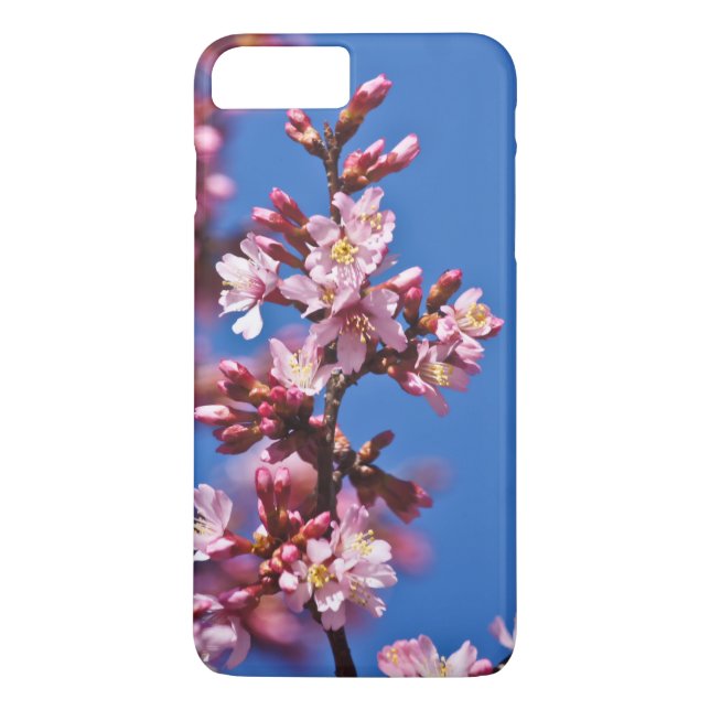Sakura Cherry Blossoms Touching Blue Case-Mate iPhone Case (Back)