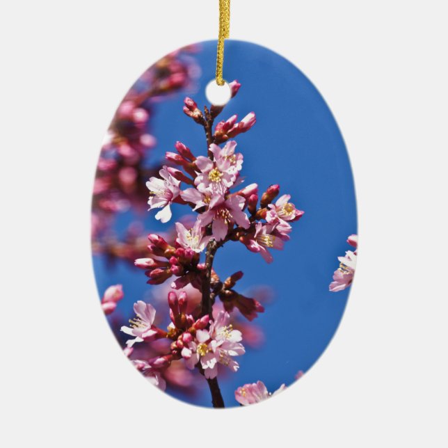 Sakura Cherry Blossoms Touching Blue Ceramic Tree Decoration (Front)