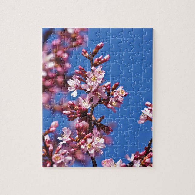Sakura Cherry Blossoms Touching Blue Jigsaw Puzzle (Vertical)