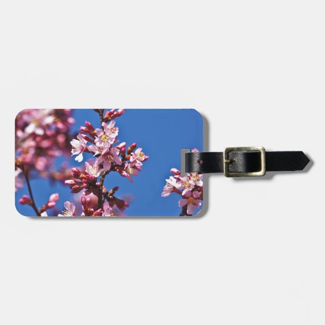 Sakura Cherry Blossoms Touching Blue Luggage Tag (Front Horizontal)