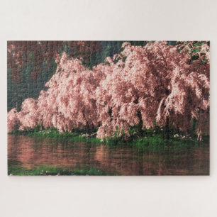 Sakura (Deluxe) Jigsaw Puzzle