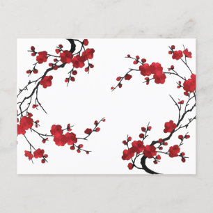 Sakura flower blooming  holiday postcard