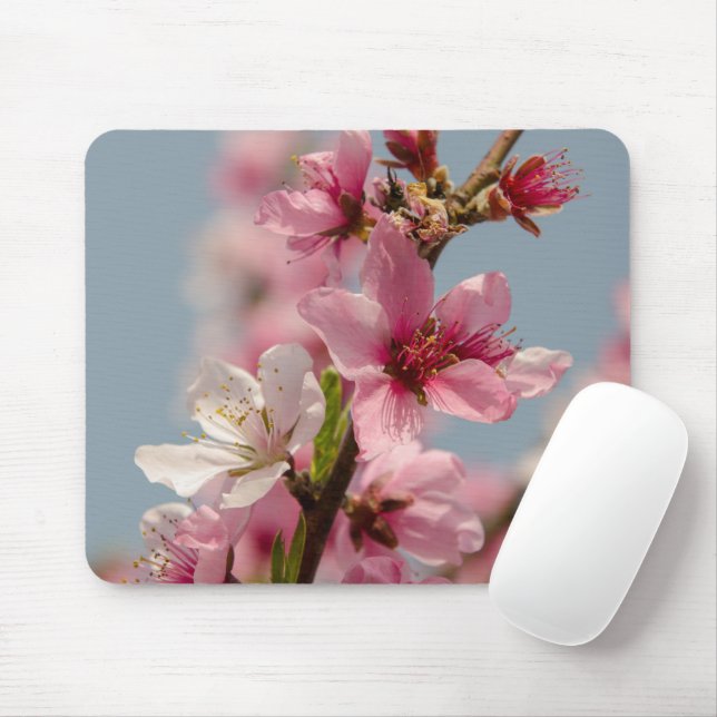 Sakura Flower, Pink Japanese Flower Mouse Pad (With Mouse)
