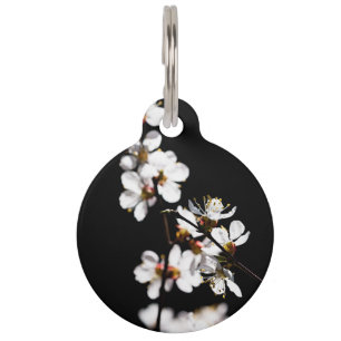 Sakura flowers pet tag