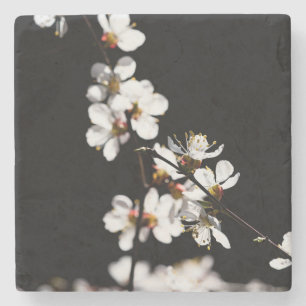 Sakura flowers stone coaster