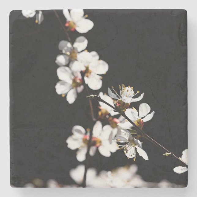 Sakura flowers stone coaster (Front)
