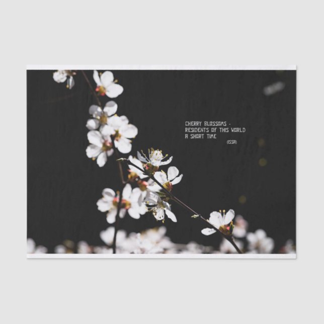 Sakura flowers tissue paper (Front)