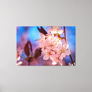 Sakura In The Tree Shade Canvas Print