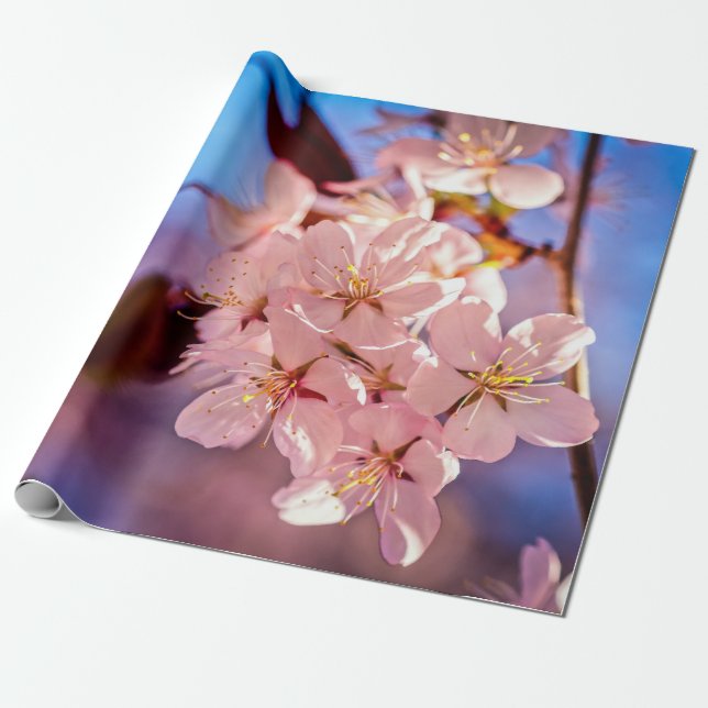 Sakura In The Tree Shade Wrapping Paper (Unrolled)