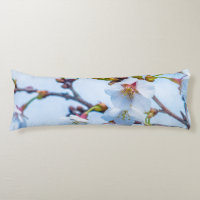 Sakura - Japanese Cherry Blossom