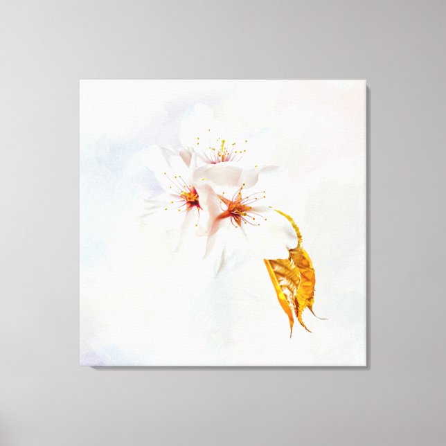Sakura - Japanese cherry blossom Canvas Print (Front)