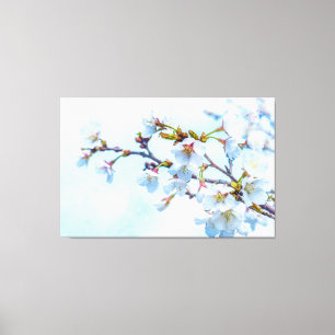 Sakura - Japanese Cherry Blossom Canvas Print