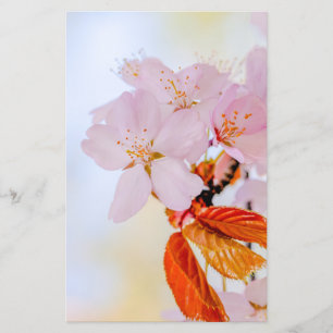 Sakura - Japanese cherry blossom Flyer