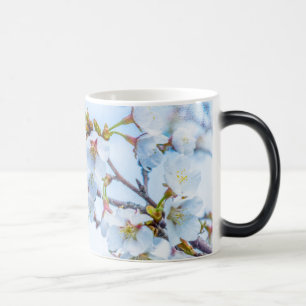 Sakura - Japanese Cherry Blossom Magic Mug