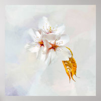 Sakura - Japanese cherry blossom