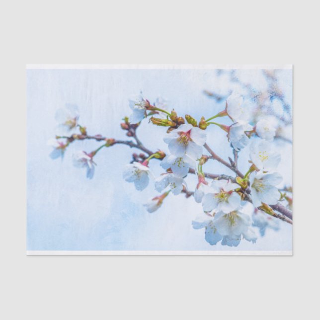 Sakura - Japanese Cherry Blossom Tissue Paper (Front)