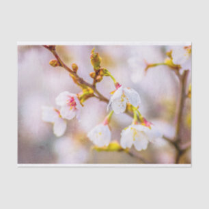 Sakura - Japanese Cherry Blossom Tissue Paper