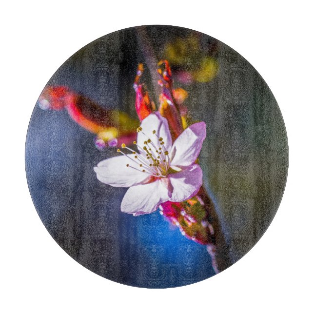 Sakura - Japanese cherry flower Cutting Board (Front)