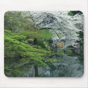 Sakura, Koishikawa Koraku-en Garden, Tokyo, Mouse Pad