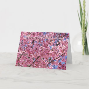 Sakura Pink Cherry Blossom Mother's Day Card