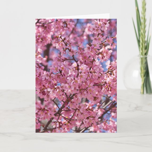Sakura Pink Cherry Blossom Sky Card (Front)