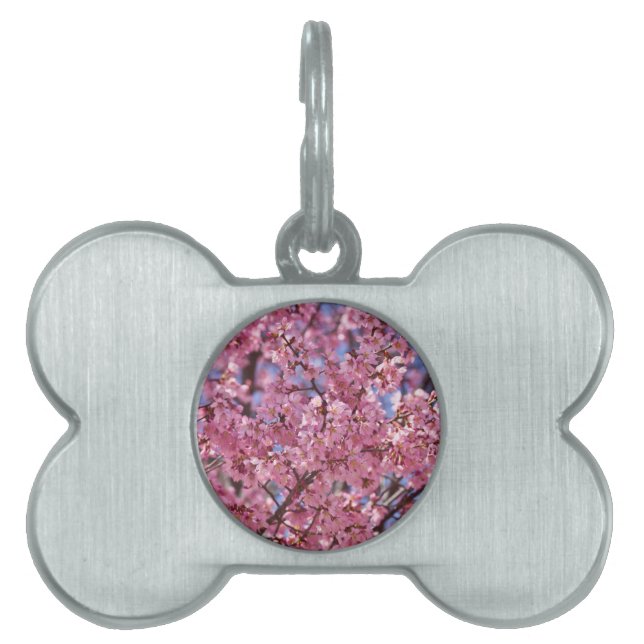 Sakura Pink Cherry Blossom Sky Pet Tag (Front)