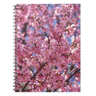 Sakura Pink Cherry Blossom Sky Spiral Notebook