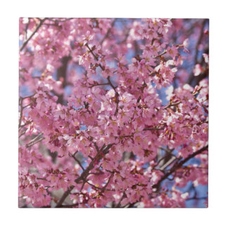Sakura Pink Cherry Blossom Sky Tile