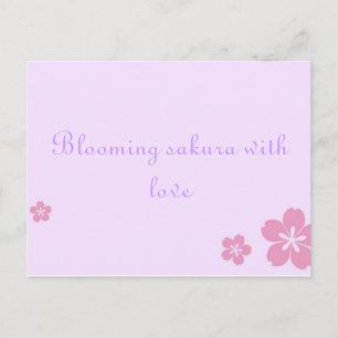 Sakura poscard postcard