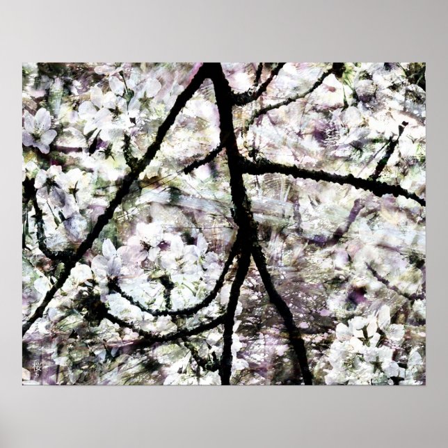 Sakura Poster (Front)