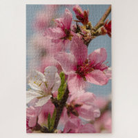 Sakura Splendour: Pink Japanese Flower Photography