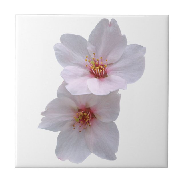 Sakura Tile (Front)