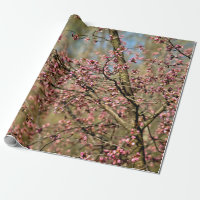 Sakura Tree Is Ready To Bloom In Spring