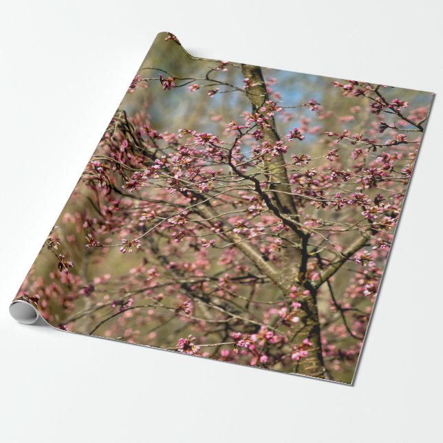 Sakura Tree Is Ready To Bloom In Spring Wrapping Paper (Unrolled)