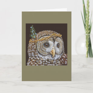 "Sal", the barred owl card