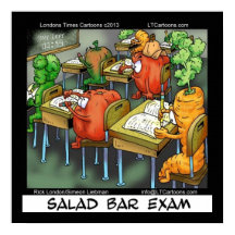 Salad Bar Exam Funny Vegan Lawyer Poster