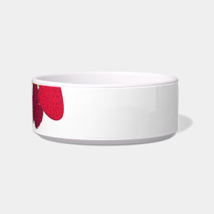 Salad bowl/bowl bowl