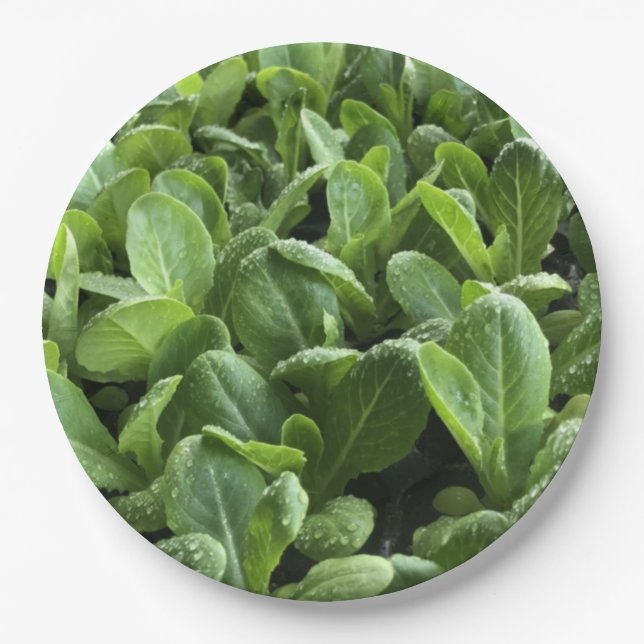 Salad  leaves for Gardener nature food lover.party Paper Plate (Front)