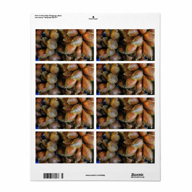 Salak [Snake Fruit] (Full Sheet)