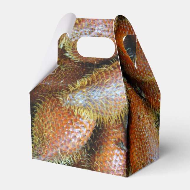 Salak [Snake Fruit] Favour Box (Front Side)