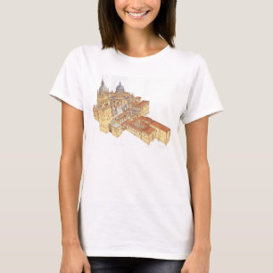 Salamanca Cathedral. Spain T-Shirt
