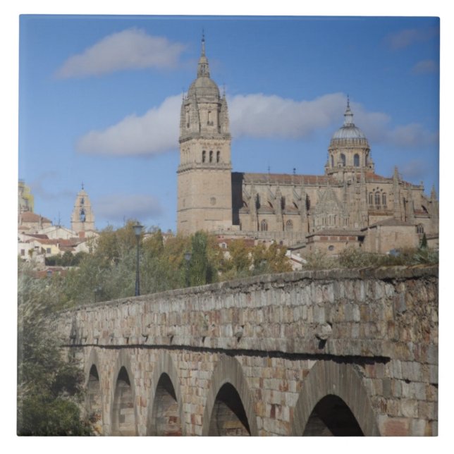 Salamanca Cathedrals, viewed from Puente Romano Tile (Front)