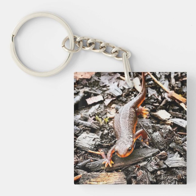 Salamander in the Forest, Oregon Key Ring (Front)