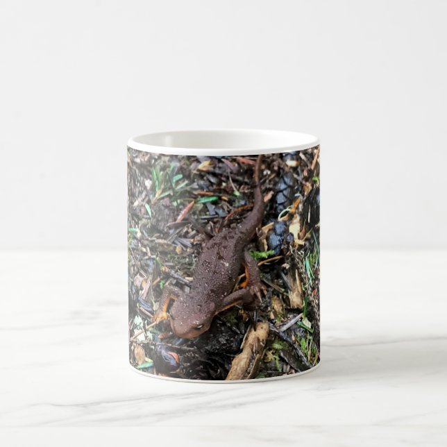 Salamander in the Forest, Washington Coffee Mug (Center)