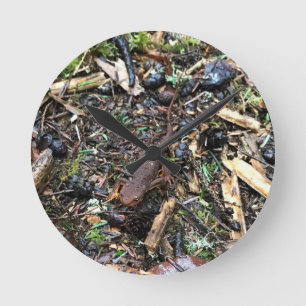 Salamander in the Forest, Washington Round Clock