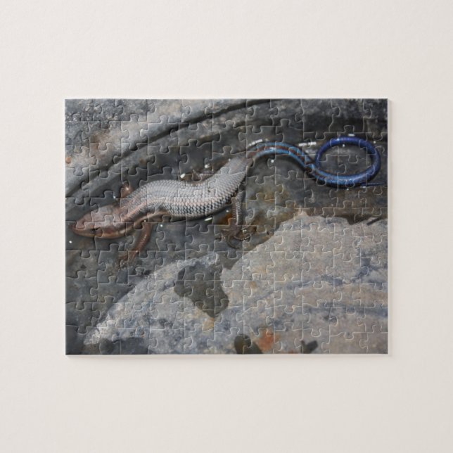 Salamander Jigsaw Puzzle (Horizontal)