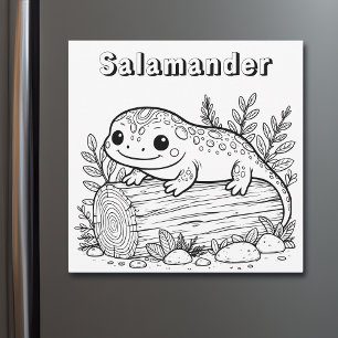 Salamander   Kid's Colouring Page