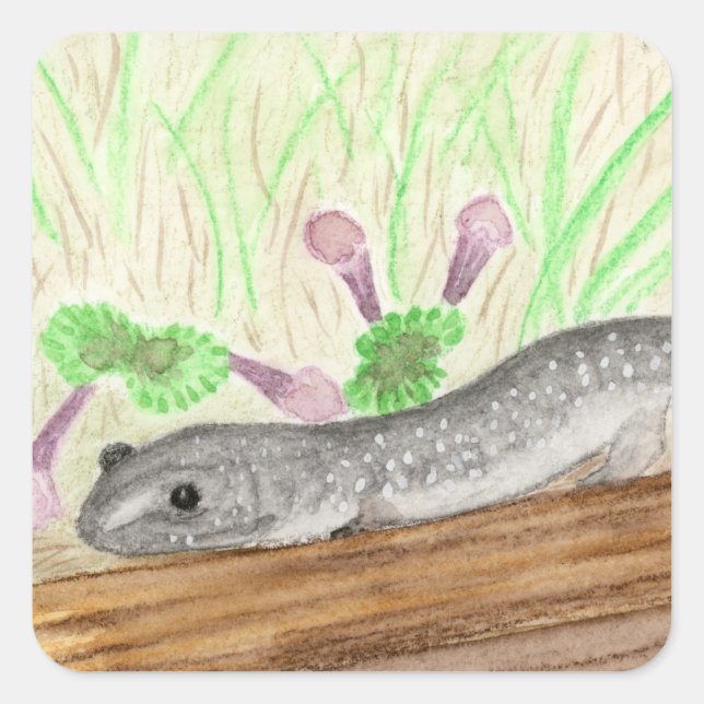 Salamander Square Sticker (Front)